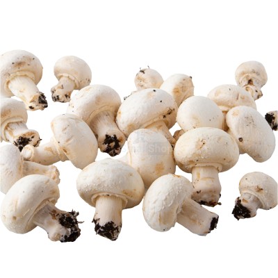 Шампиньоны свежие 500 г - купить в Дурасово